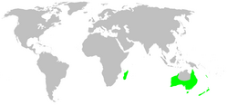 Distribution.stiphidiidae.1.png