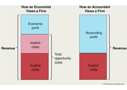 Economist Versus Accountants.pdf