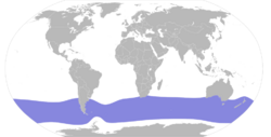 Halobaena caerulea map.svg