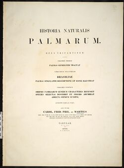 Historia naturalis palmarum.jpg