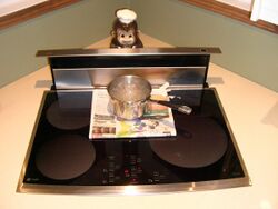 Induction Cooktop Rolling Boil.jpg