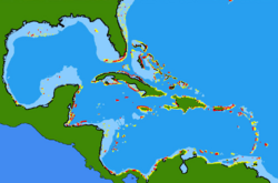 Acanthurus bahianus range.png