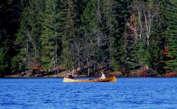 Adirondack Guideboat.jpg