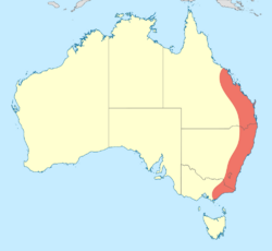 Austrophlebia costalis distribution map.svg