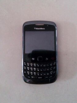Blackberry 8900series.jpg