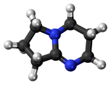 DBN molecule