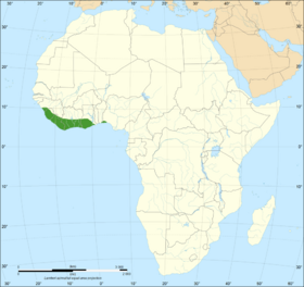 Dendroaspis viridis distribution map.png