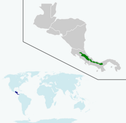 Eupherusa nigriventris map.svg