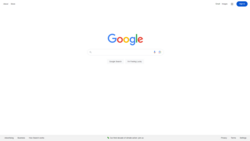 Google Homepage.PNG