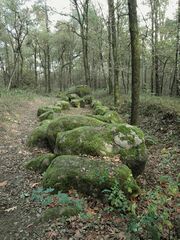 Großsteingrab im Alt-Frerener Forst.jpg