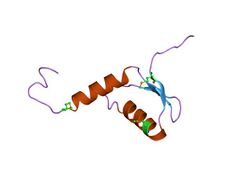 PDB 1ydl EBI.jpg