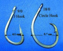 Pelagic Longline Hooks - J Hook by a Circle Hook.jpg