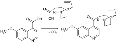 Claisen condensation in Prelog conversion of homomeroquinene to quinotoxine