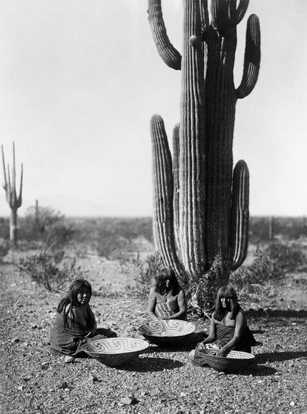 File:Saguaro gatherers2.jpg
