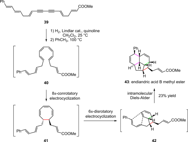 Scheme 8. Pericyclic cascade in the synthesis of endiandric acid derivatives