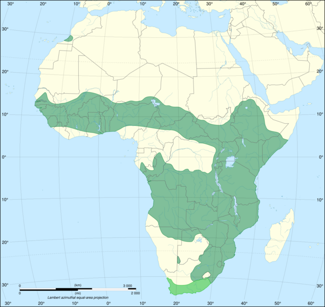 File:Serval range IUCN.svg