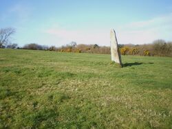 Standing Stone leaning at Dinas Cross - geograph.org.uk - 1803573.jpg