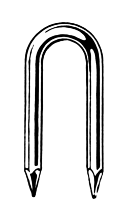 Staple (PSF).png