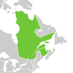 Symphyotrichum laurentianum distribution map