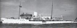 Yugoslav gunboat Beli Orao.jpg