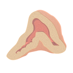 201405 adrenal medulla.png