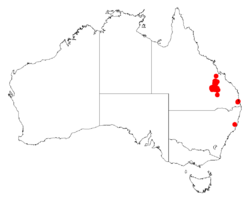 Acacia gittinsiiDistMap387.png