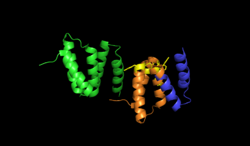 Alpha subunits of prolyl hydroxylase.png