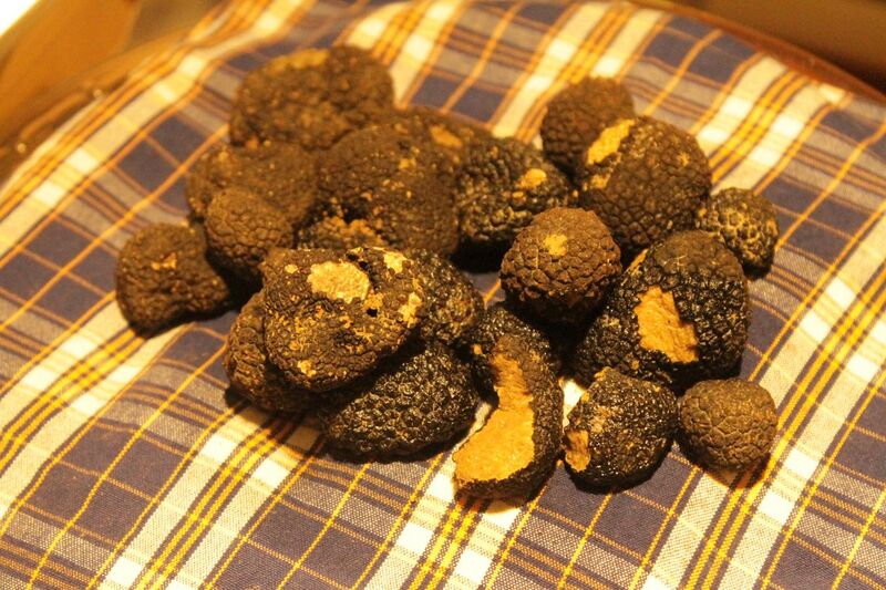 File:Black truffles, San Miniato.jpg