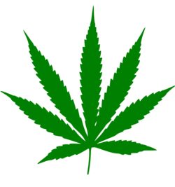 Cannabis leaf.svg