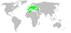 Distribution.nigma.walckenaeri.1.png