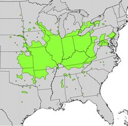 Euonymus atropurpureus range map.jpg