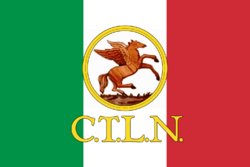 Flag of the CTLN.svg