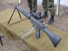 JGSDF Type 89 Assault Rifle 20100418-01.jpg