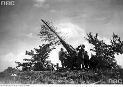 Kampfgeschwader Lützow Anti-aircraft gun.jpg