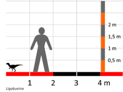 Ligabueino size comparison diagram.png