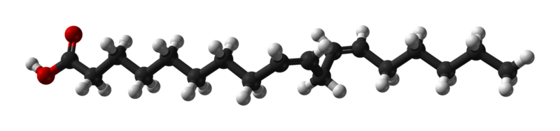 File:Linoleic-acid-from-xtal-1979-3D-balls.png