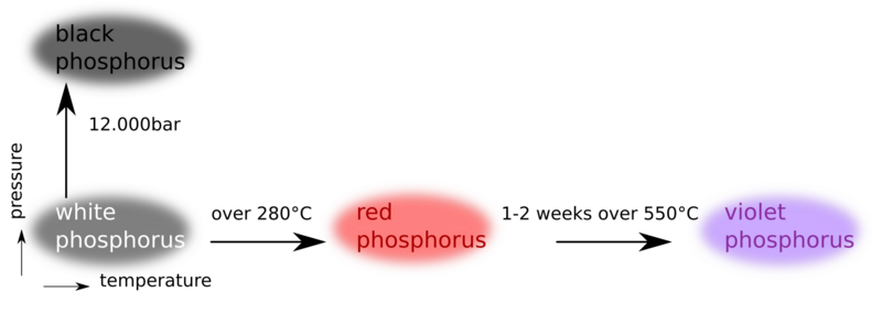 File:PhosphorusAllotropes.svg