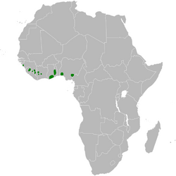 Phyllastrephus baumanni distribution map.png
