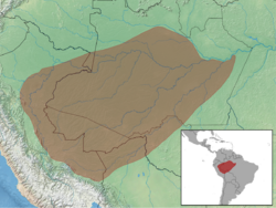 Proechimys steerei distribution (colored).png