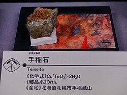 Teineite displayed at Mining Museum of Akita University 01.jpg