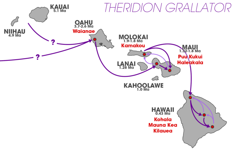 File:Theridion grallator colonization pattern (Hawaiian volcano populations).png