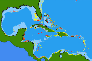 Acanthurus coeruleus range.png