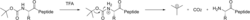 Boc deprotection peptide.svg