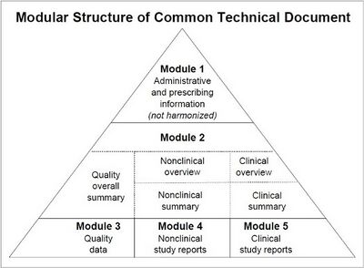 CTD Pyramid.jpg