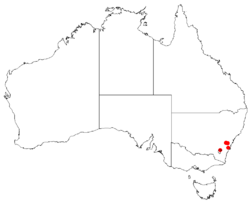 Hakea dohertyiDistMap39.png