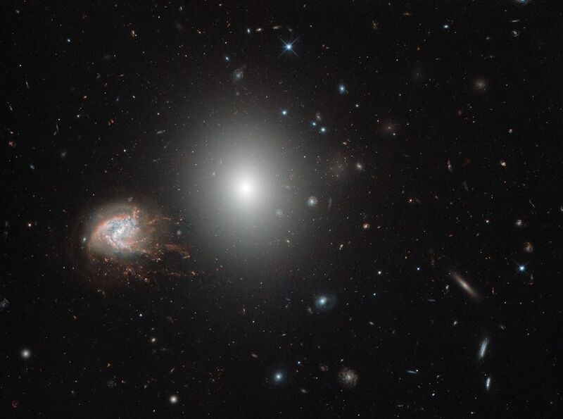 File:Knots and bursts NGC 4860 and NGC 4858.jpg