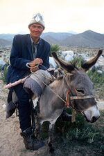 Kyrgyz donkey rider.jpg