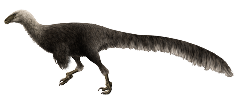 File:Ornitholestes reconstruction.png