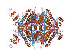 PDB 1hw8 EBI.jpg