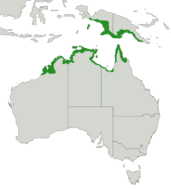 Red-headed Myzomela distribution map.svg